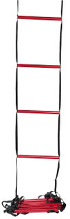 Wilson Training ladder